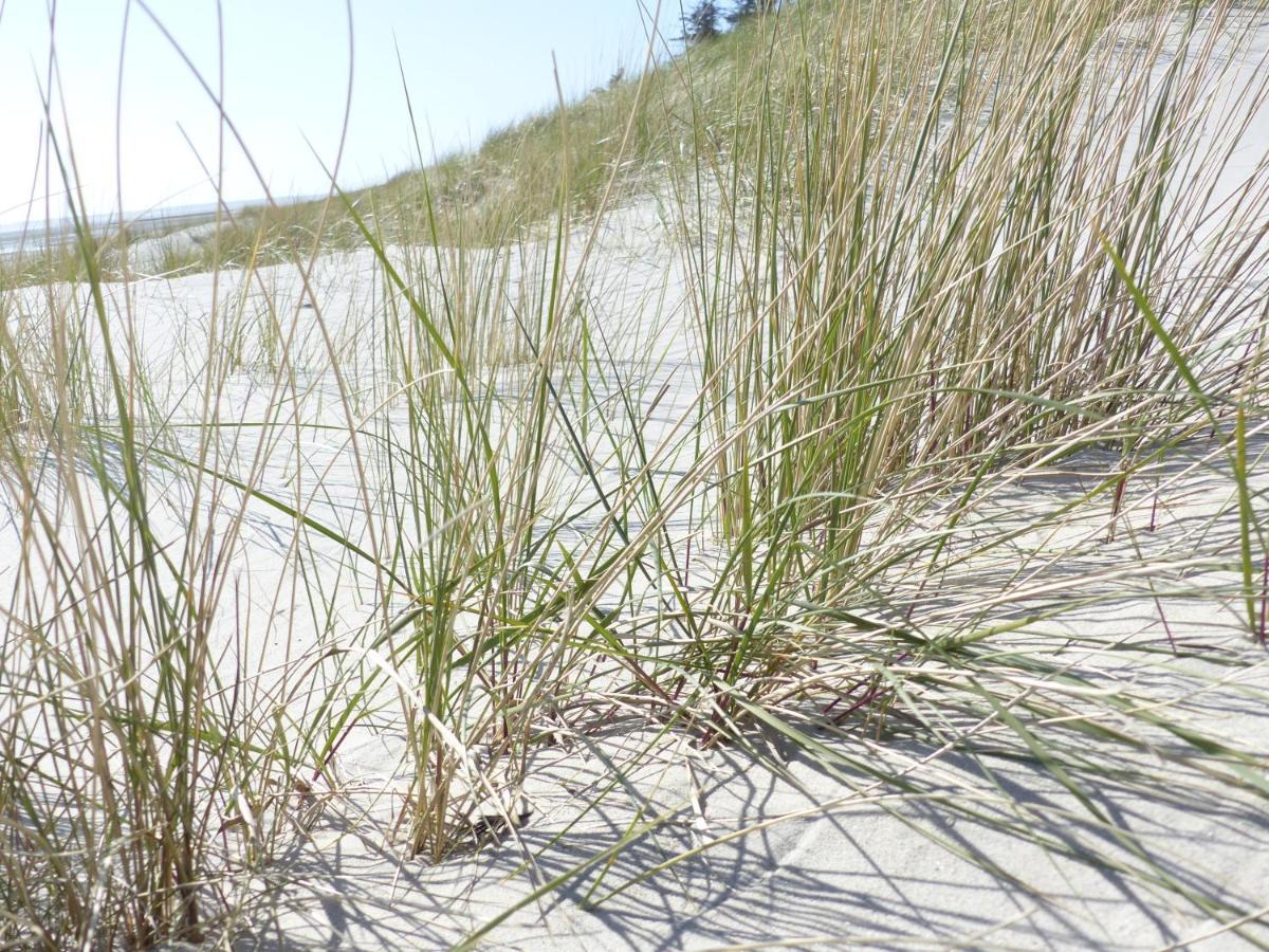 Wyk auf Föhr Haus Uthlande Haus Uthlande Whg 46 Watten Blick מראה חיצוני תמונה